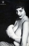 Click to view big image RetroPinups012.jpg